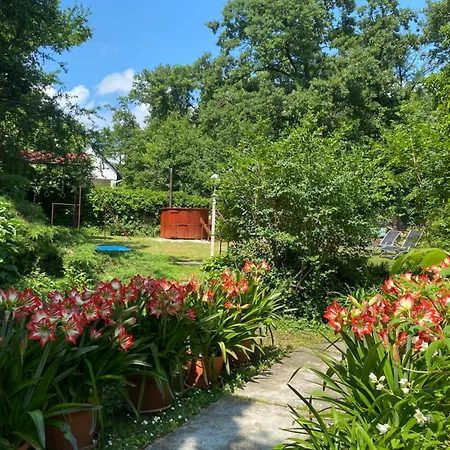 Panoráma *