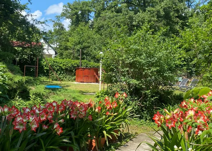 Panoráma *